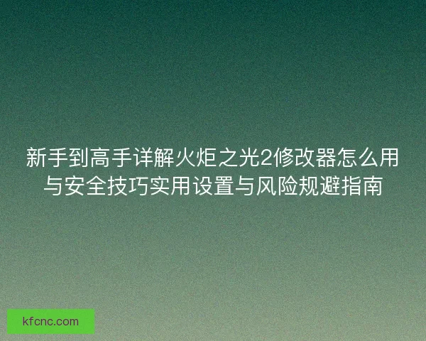新手到高手详解火炬之光2修改器怎么用与安全技巧实用设置与风险规避指南
