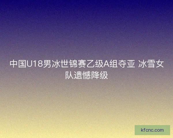 中国U18男冰世锦赛乙级A组夺亚 冰雪女队遗憾降级